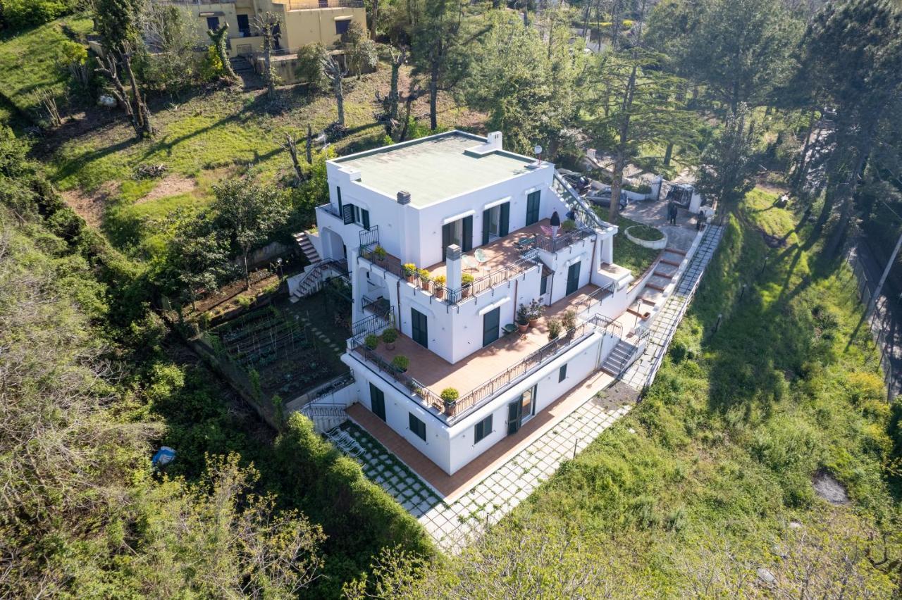 Torca Villa Maiki מראה חיצוני תמונה