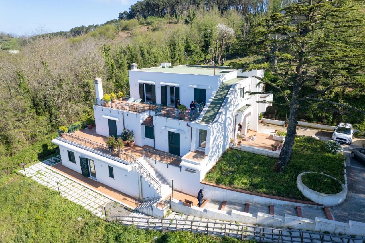 Torca Villa Maiki מראה חיצוני תמונה
